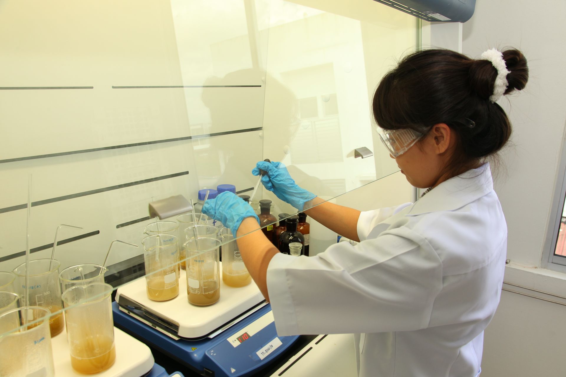 Home | T&T Borneo Laboratory